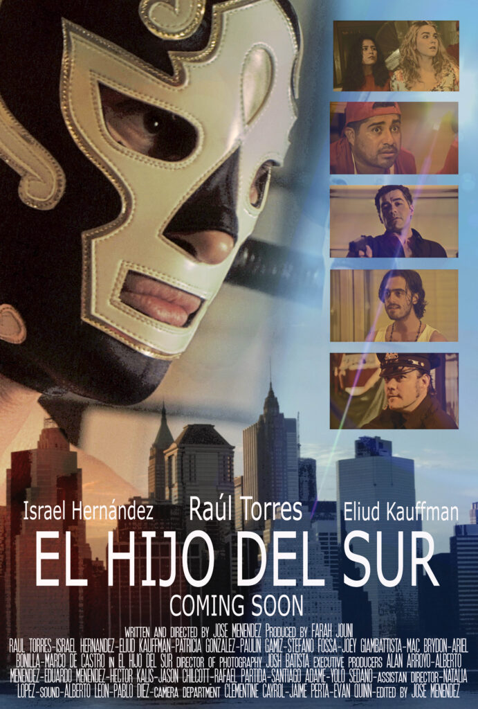 El hijo del sur poster